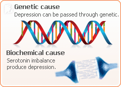 depression-biochemical
