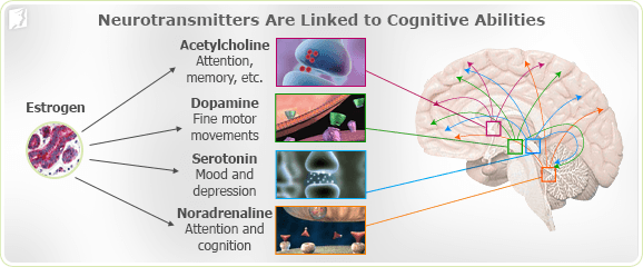 Causes of Difficulty Concentrating 1