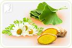 Do Herbal Supplements Really Help Treat Dizziness?