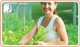 do-herbal-supplements-really-help-treat-menopause-1