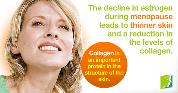 The decline in estrogen during menopause leads to thinner skin and a reduction in the levels of collagen