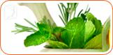 Causes of Early Menopause