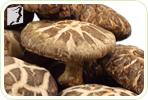 Eating Shiitake Mushrooms to Deal With Your Menopausal Fatigue