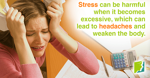 When stress becomes excessive can lead to headaches