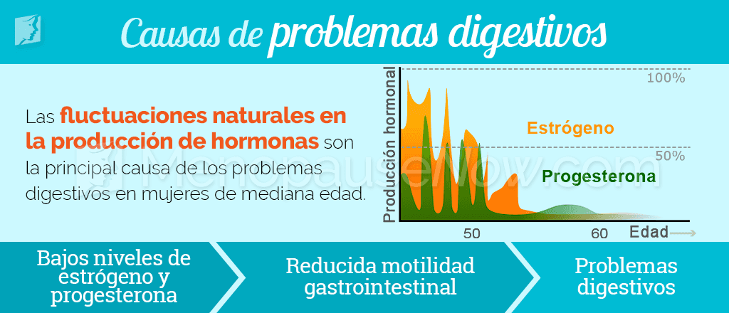 Causas de problemas digestivos