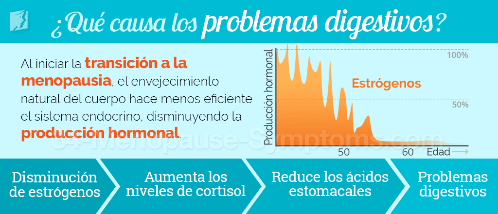 ¿Qué causa los problemas digestivos?