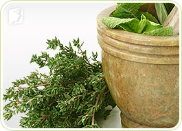 Fatigue Treatments 3