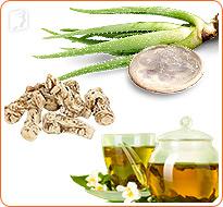 herbal treatment for hair loss