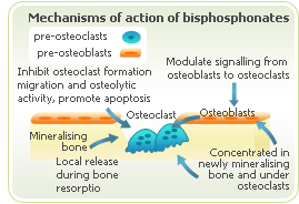 Mechanisms of action of bisphosphonates