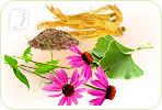 Herbal Remedies for Treating Fatigue during Menopause