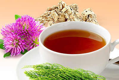 Herbs for Osteoporosis