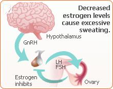 Hot Flashes and Night Sweats3