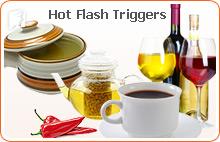 Diet and Hot Flashes2