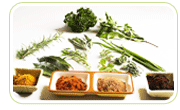 hot flashes phytoestrogen