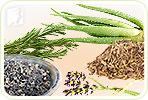 How Can Herbal Supplements Help Treat Hair Loss?