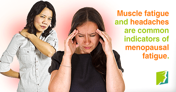 Muscle fatigue and headaches are common indicators of menopausal fatigue.