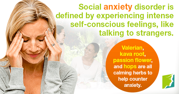 Social anxiety disorder is defined by experiencing intense self-conscious feelings, like talking to strangers.