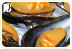 How Will Oysters Help Increase My Libido during Menopause?
