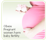 Obese pregnancy