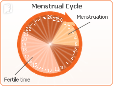 Menstrual cycle1