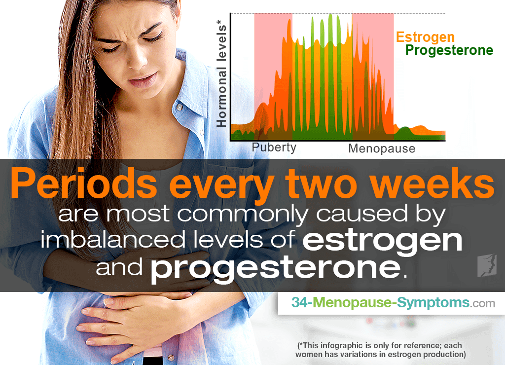 Periods Every Two Weeks Or Two Periods In One Month Menopause Now