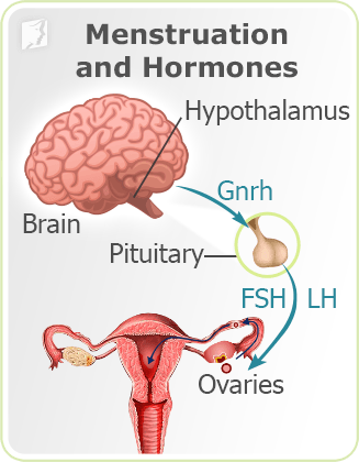 Irregular periods menstruation