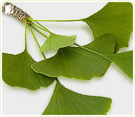 Loss of Libido Treatments 3