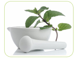 loss of libido herb