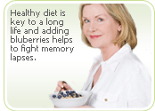 memory lapses blueberries