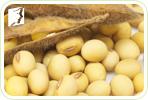 Menopausal Relief: Organic vs. Non-Organic Soybeans