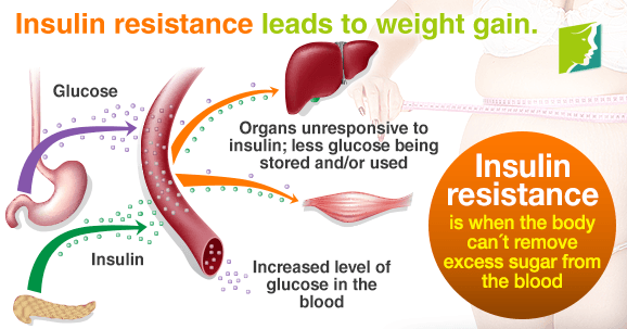 Insulin resistance leads to weight gain