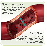 Climacteric Syndrome In Women With Diabetes Mellitus A Dissertation ➤ Buy college essay online