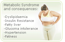 menopause fatness