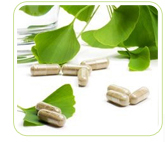 menopause ginkgo