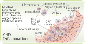 Menopause inflamation