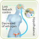 menopause symtomps estrogen