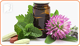 Types of Holistic Treatments for Menopause