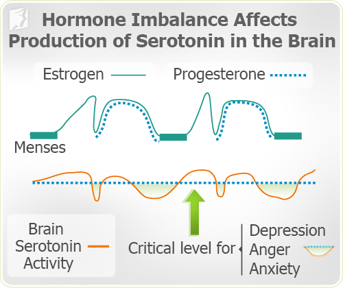 Hormone imbalance affects production of serotonin in the brain