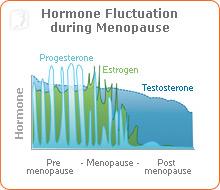 natural-menopause-symptoms-1