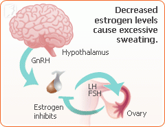 Night Sweats as a Symptom of Menopause1