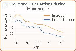 Osteoporosis in Older Women2