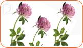 Identifying Perimenopause and Menopause Symptoms