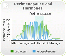 Perimenopause and Hormones 1