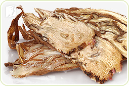 Phytoestrogenic herbs contains plant-made estrogen