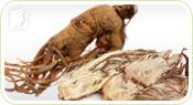 Premenopause Treatments3
