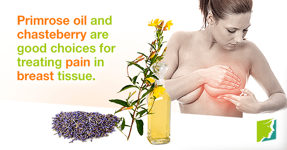 Primrose oil and chasteberry are good choices for treating pain in breast tissue.