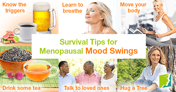 Survival Tips for Menopausal Mood Swings