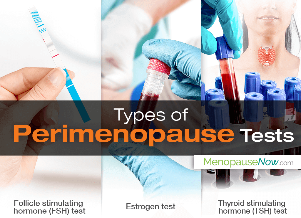 Types of perimenopause tests