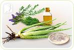 The Best Ways to Reverse Menopausal Hair Loss