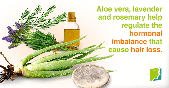 Aloe vera, lavender and rosemary help regulate the hormonal imbalance that cause hair loss.